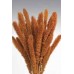 SETARIA  24" Burnt Oak-